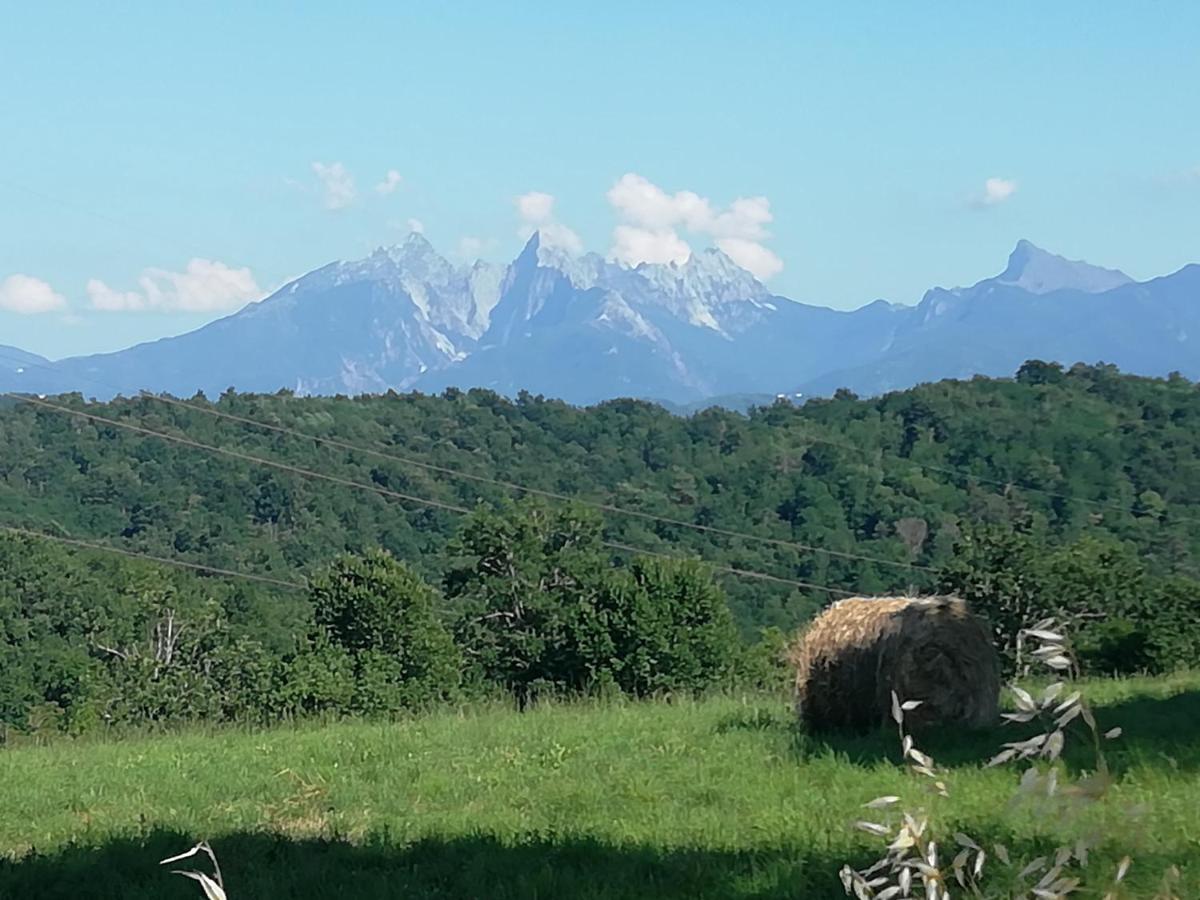 Il Podere Di Emore - Locazione Turistica Вилафранка ин Луниджана Екстериор снимка